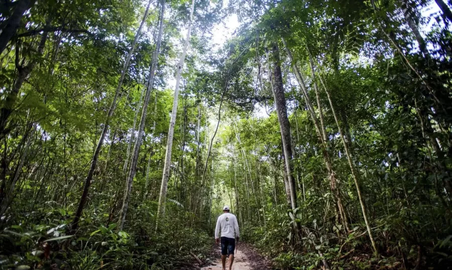 NASA busca ampliar parceria com o Brasil no monitoramento e preservação da Amazônia