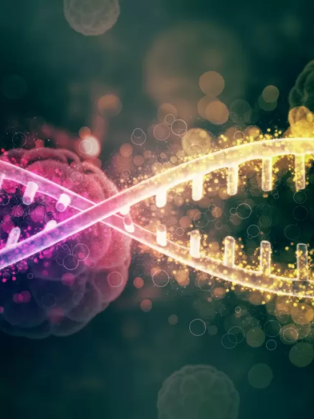 O que é DNA resumido?