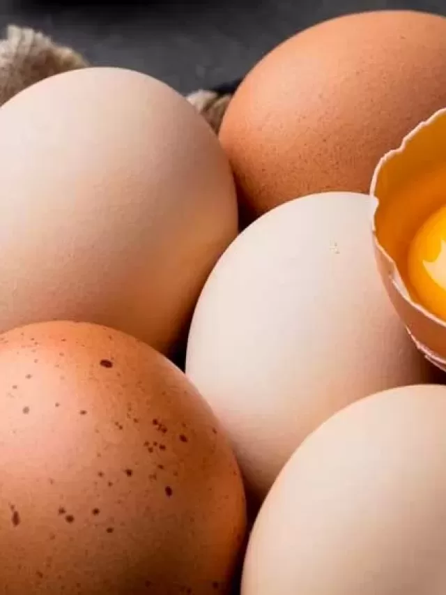 Por que o preço do ovo de galinha está tão caro? Entenda