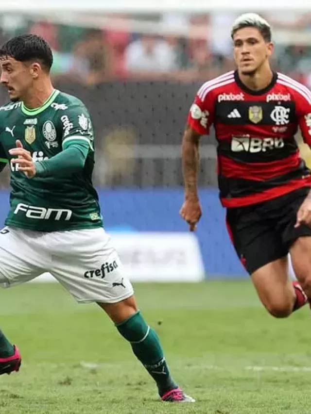 Palmeiras e Flamengo jogam pela liderança no Campeonato Brasileiro