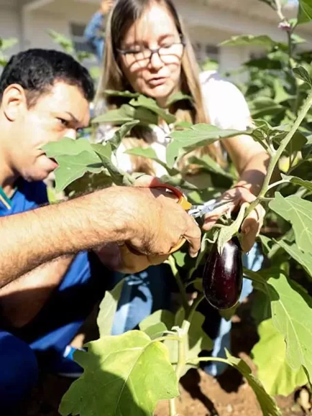 Agronegócio no Mato Grosso é responsável por 21,36% do PIB do estado