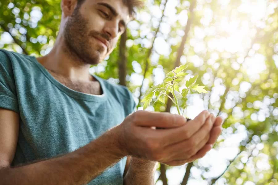 A ecologia ambiental é um campo interdisciplinar que se dedica ao estudo das interações entre os organismos vivos e o ambiente físico ao seu redor.