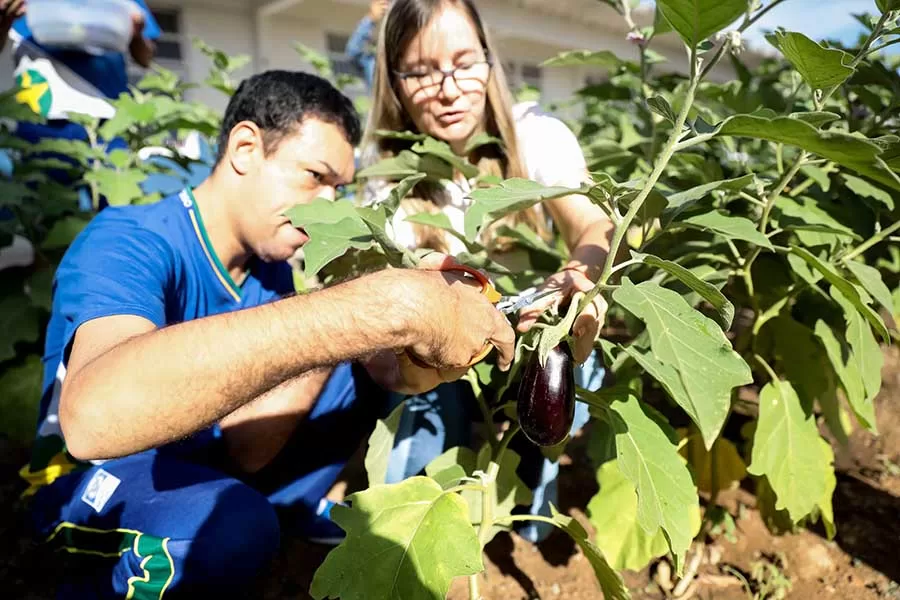 A Poderosa Contribuição do Agronegócio de Mato Grosso para a Economia Estadual (Christiano Antonucci / Secom-MT)