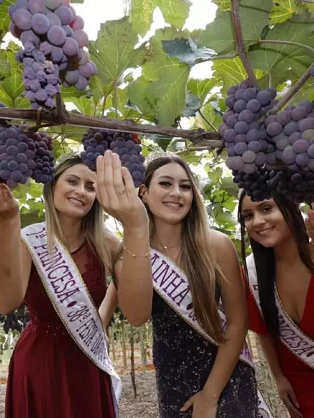Escolha rainha Festa da Uva 2024: inscrição e datas
