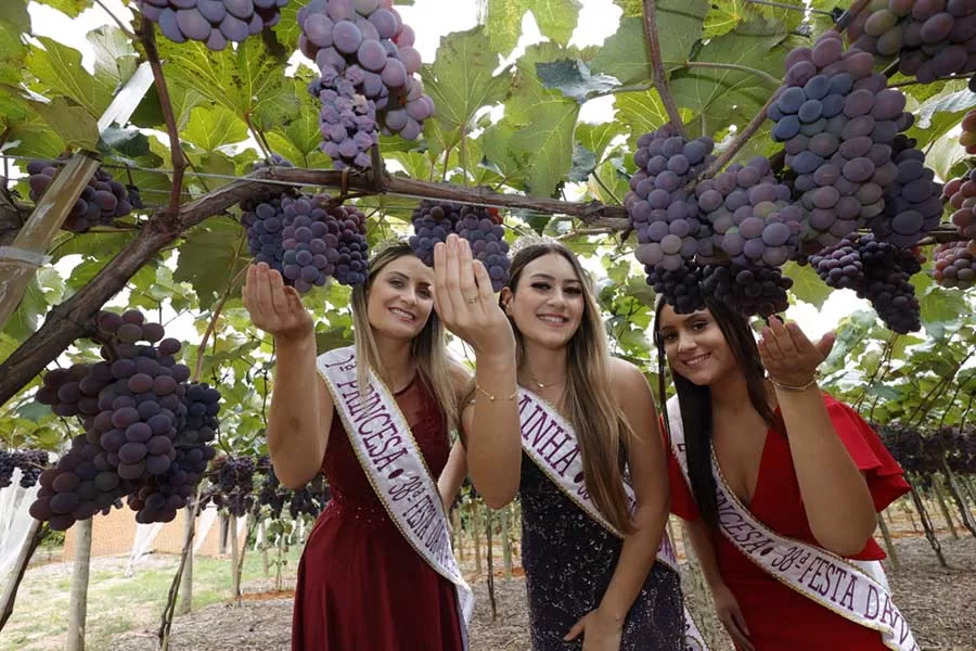 Inscrições Abertas para o Concurso da Corte da Uva na 39ª Festa da Uva e 10ª Expo Vinhos de Jundiaí