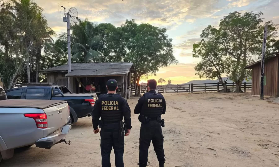 Operação abrange áreas de Mato Grosso e do Pará (Polícia Federal/Pará© Polícia Federal/Pará)