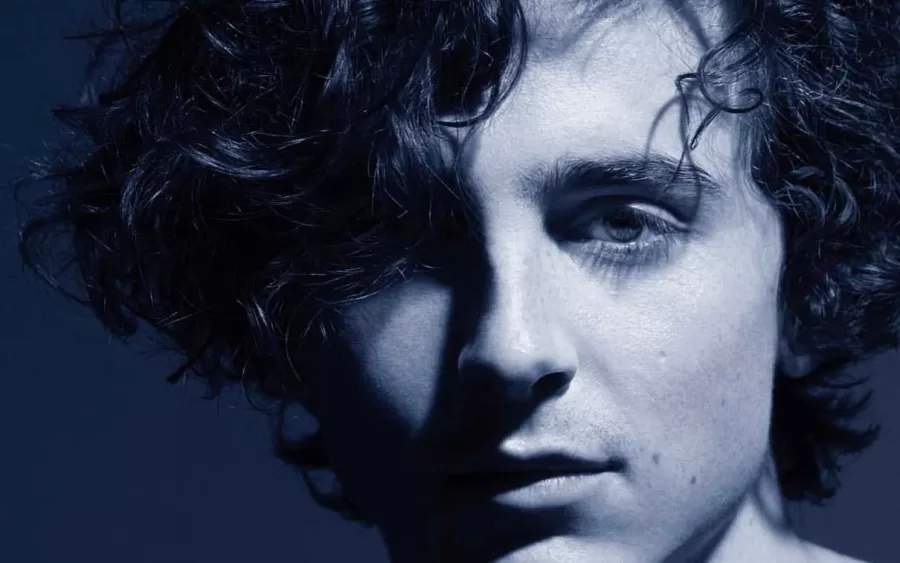 Show de Beyoncé tem Kylie Jenner e Timothée Chalamet em clima de romance