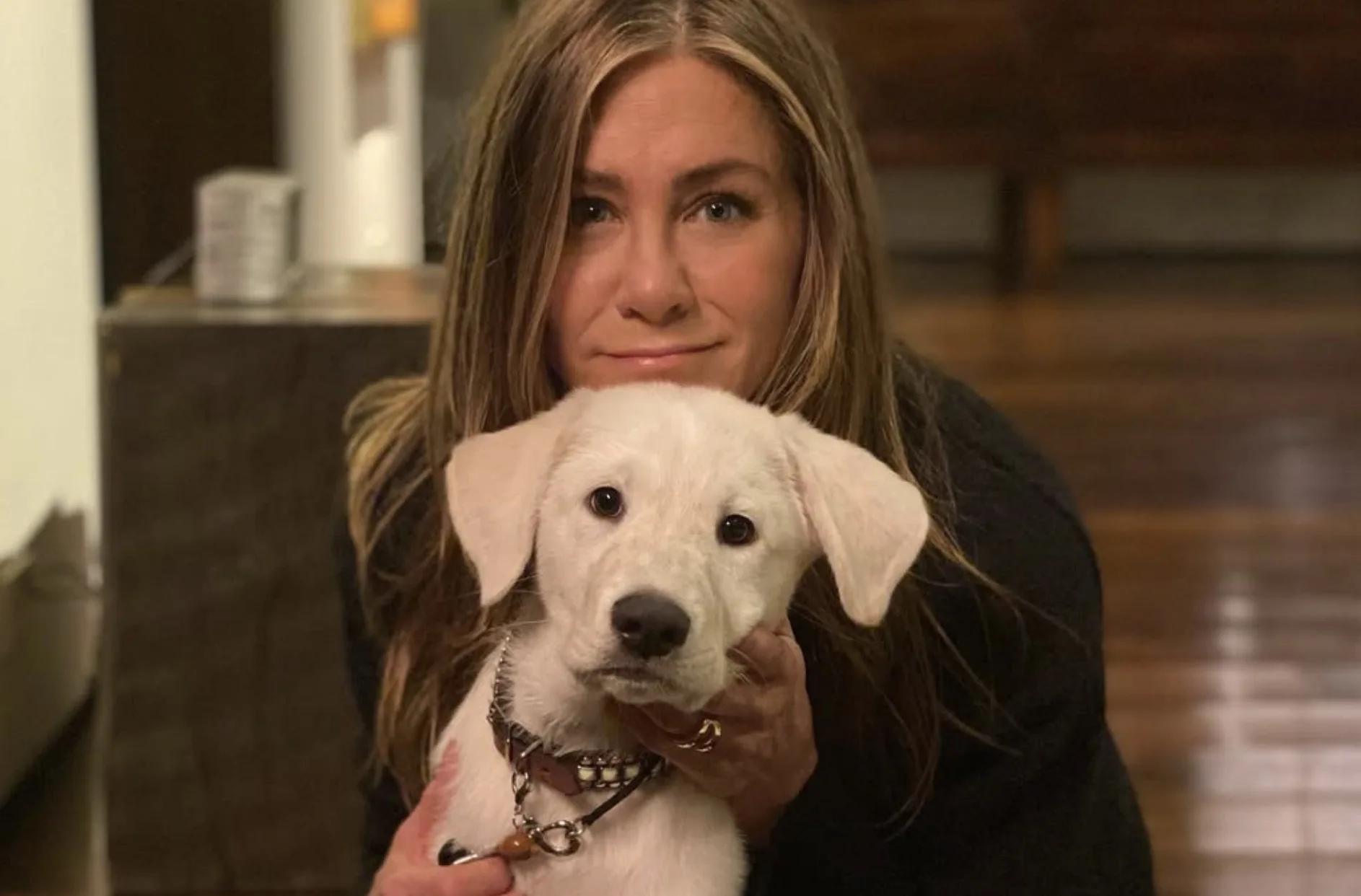 Jennifer Aniston voltou a adotar o método 15-15-15, que intercala esteira, elíptico e spinning em treinos de 45 minutos divididos em três blocos de 15 minutos cada.