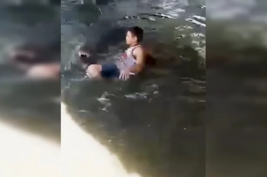 Turista se aproxima de crocodilo achando que era estátua e acaba atacado por animal de 4,5 m