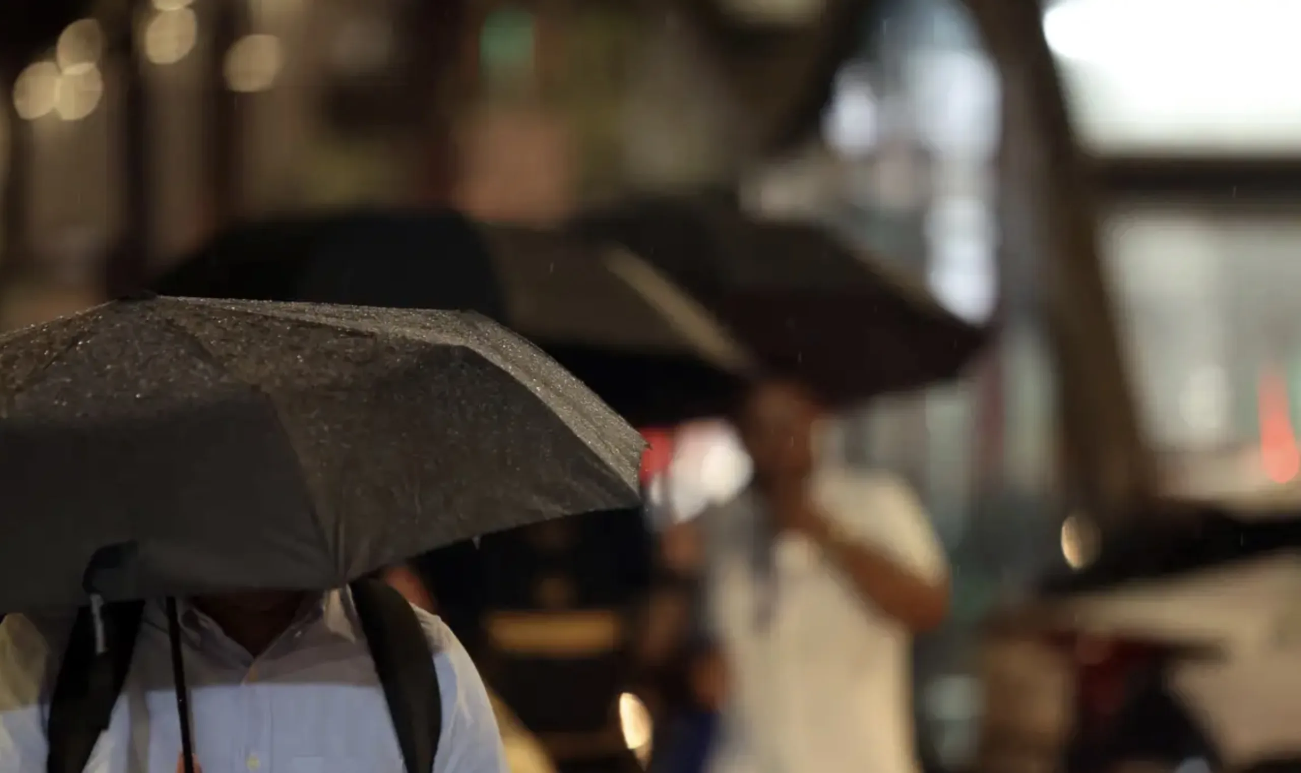 Um estudo da Unicamp revelou que a água da chuva pode conter agrotóxicos mesmo em áreas urbanas como São Paulo - © Paulo Pinto/Agência Brasil