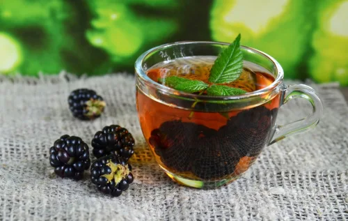 Apesar dos benefícios, o chá deve ser evitado por grávidas, lactantes e pessoas com hipoglicemia. O consumo deve ser moderado e com orientação médica.