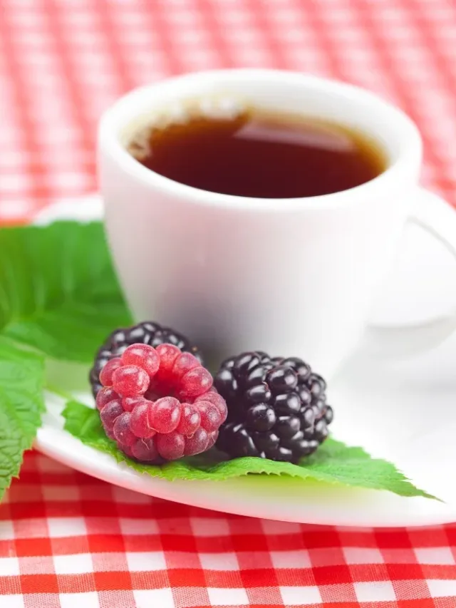 Folha de amora tem ação antioxidante e pode ajudar na perda de peso