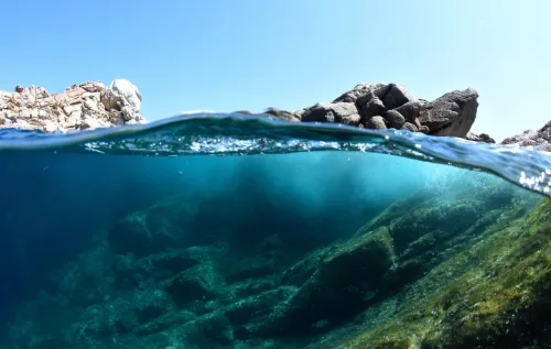 Mais de 70% do planeta é coberto por oceanos. Mas adivinha? A maior parte do fundo do mar continua sem mapa e sem visita. É a parte esquecida da Terra - reprodução / canva