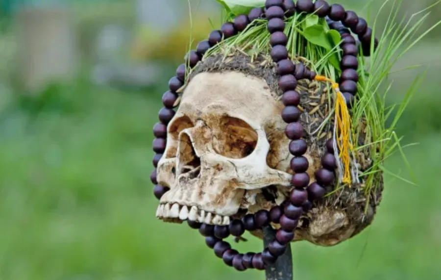 Canibalismo humano: o que a ciência, a história e a biologia revelam sobre essa prática extrema