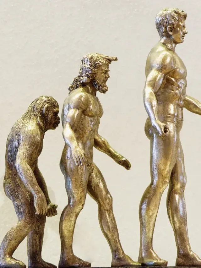 Últimos Neandertais sumiram há 40 mil anos após crise ambiental