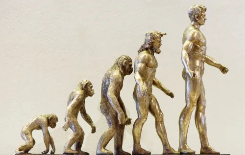 Humanos modernos e Neandertais dividiram o planeta por milênios. A convivência terminou há 40 mil anos, com a extinção dos últimos grupos neandertais na Europa.