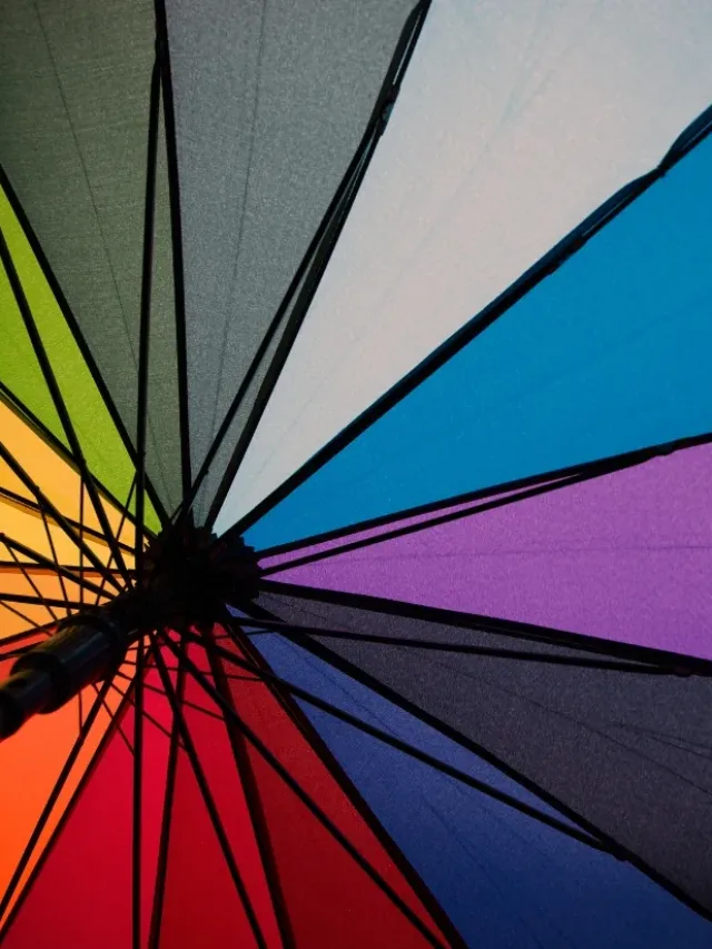 Sociedade aberta enfrenta dilema com avanço de discursos radicais