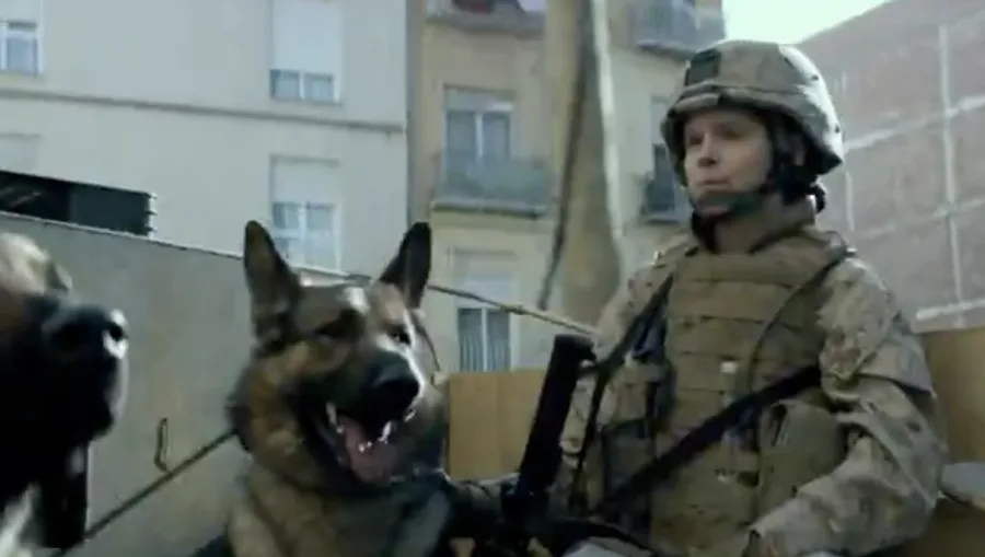 No front da guerra, Megan Leavey cria laços com Rex, cão treinado para detectar bombas. Uma parceria nascida em meio ao caos.
