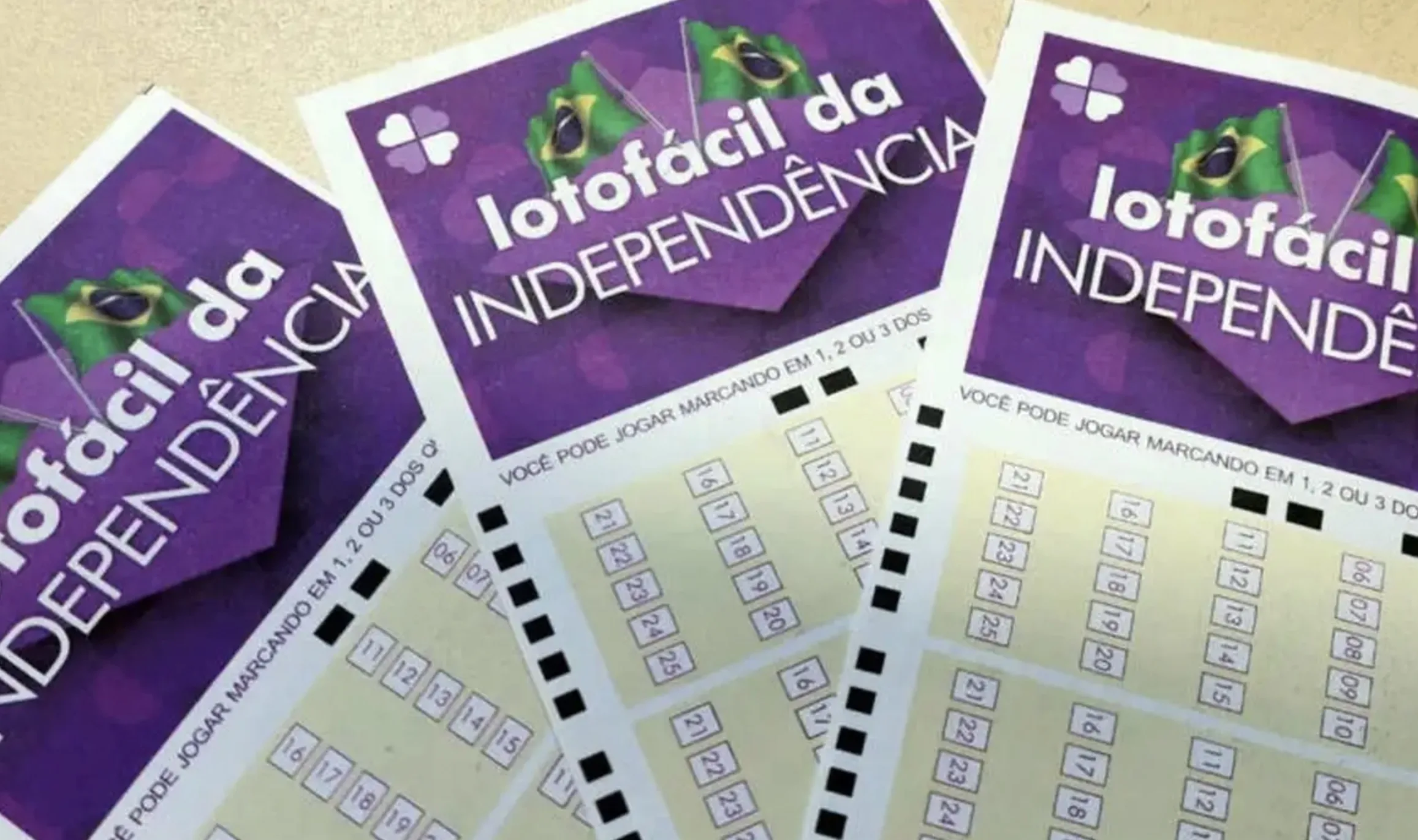 A Lotofácil da Independência 3480 sorteia hoje, em São Paulo, o prêmio recorde de R$ 220 milhões, consolidando-se como o maior concurso da modalidade.