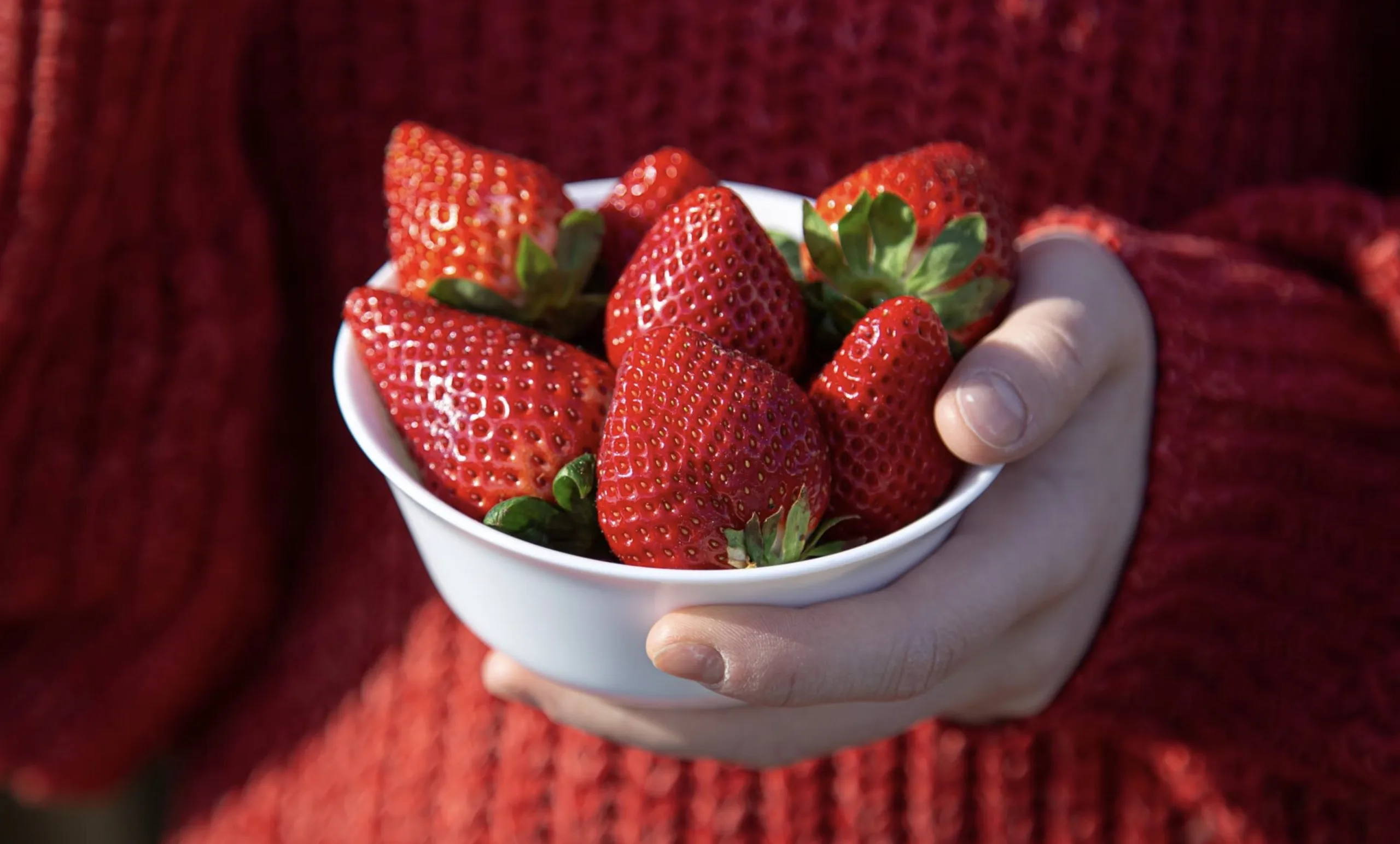 Morangos adaptam-se bem a vasos suspensos, frutificam rápido e com regas constantes garantem colheitas doces e contínuas em qualquer estação.
